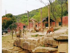 -无锡动物园·太湖欢乐园