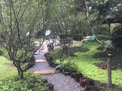 -荆川公园