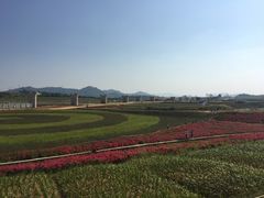 -光明小镇欢乐田园