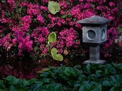 -深圳国际园林花卉博览园