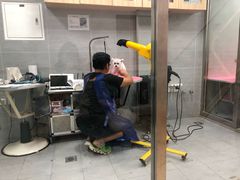-宠福鑫康馨动物医院·骨科·眼科