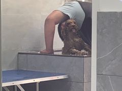 -宠福鑫康馨动物医院·骨科·眼科