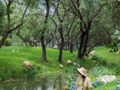 -人民公园(罗湖区)