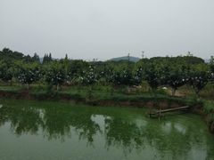 -呼吸森林·生态农庄农家乐私房菜