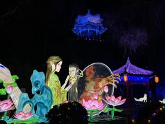 -淄博花灯齐彩城