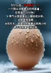 -YESIDO椰岛美容
