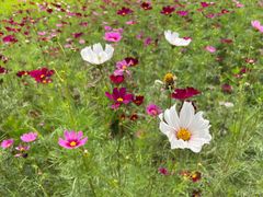 -中国天府农业博览园