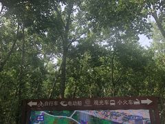 -合肥滨湖国家森林公园