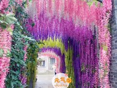 -两江国际影视城