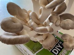 -永辉超市(龙潭寺店)