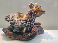 -杭州工艺美术博物馆