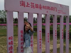 -杭州湾海上花田景区