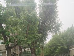 -新清华学堂