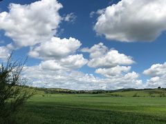 景点二道河沿土路一直往上-塞罕坝国家级自然保护区
