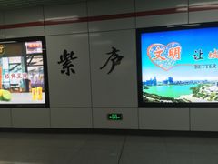 -紫庐(地铁站)