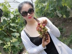 -马陆小张葡萄园农家乐