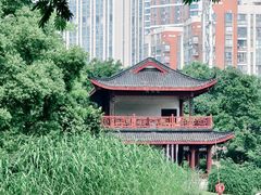 -堤角公园