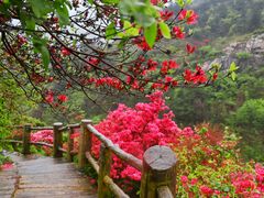 -木兰云雾山