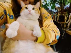 -小时光咖啡馆(北锣鼓巷店)