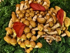 -芸山季·云南野生菌火锅(人民广场来福士店)