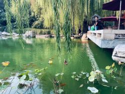 -颐和宾馆宴会厅