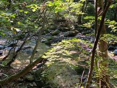 -关门山森林公园