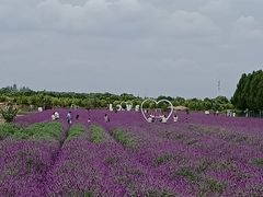 -嘉北郊野公园