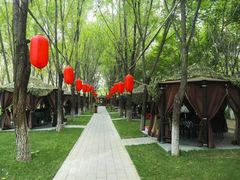 -草根堂农场