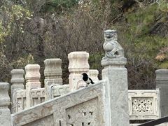 -北陵公园