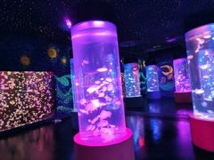 -顺德南宏海立方海洋公园