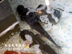乌江鱼-屯靠屯地锅王(西南路店)