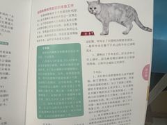 -纳吉亚猫专科动物诊疗中心(蒋宅口分院)