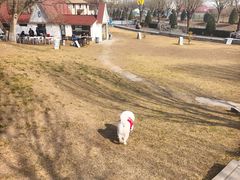 -小意思咖啡店(草桥店)