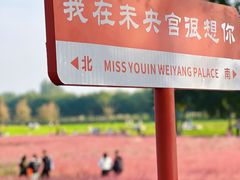 -汉长安城未央宫国家考古遗址公园