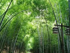 -苏州环秀晓筑养生度假村