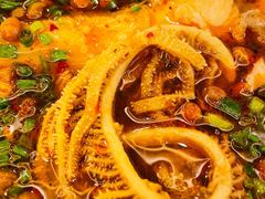 精品千层肚-川道拐耗儿鱼(旗舰店)