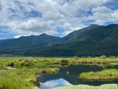 -腾冲北海湿地