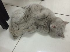 -金家休闲餐吧(金家小吃四店)