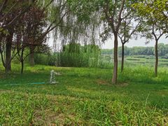 -大兴滨河森林公园