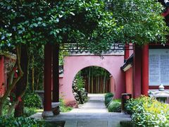 -江西龙虎山景区