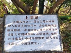 -上海佘山国家森林公园天马山园