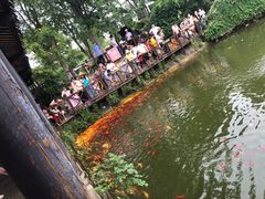 -武汉紫薇都市田园