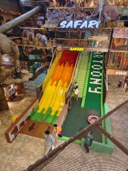 -卡通尼·Safari非洲探索乐园·生日会(金桥国际商业广场店)