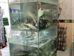 -煲来饱去冷水鱼