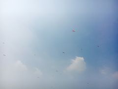 -漕湖湿地公园