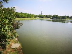 -尚贤河湿地