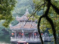 -老炳·七丛松甘草水果