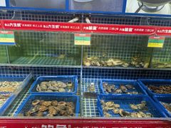 -必点海鲜·鲅鱼水饺(鞍山西道店)