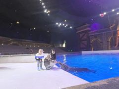 -哈尔滨波塞冬海底世界