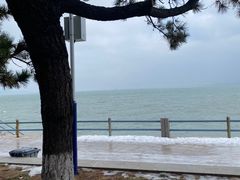 -悦海公园
